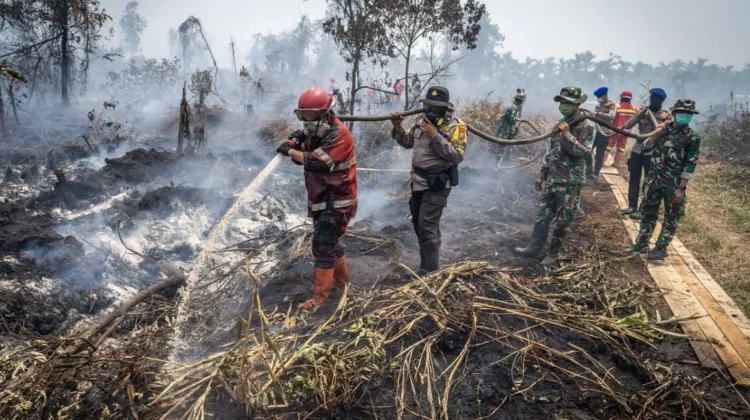 Kemenkes Siapkan Rekomendasi PJJ saat Kualitas Udara Memburuk akibat Karhutla