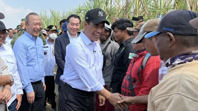 Mentan Optimistis Produksi Gula Nasional Capai 3 Juta Ton