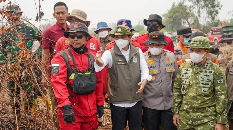 Menhut Minta Karhutla Pelalawan tak Ditinggal sebelum Pendinginan Tuntas