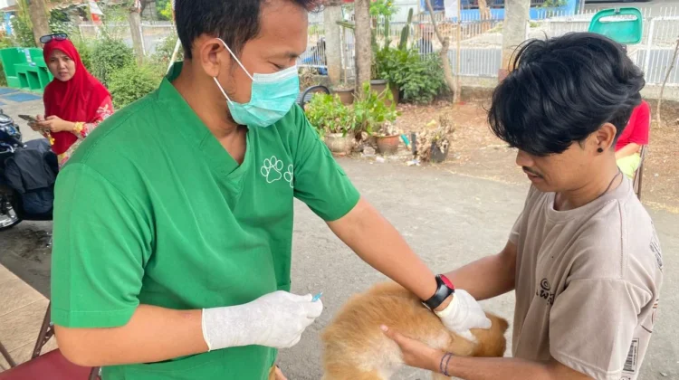 Dukung Zero Rabies, Sudin KPKP Jakarta Timur Vaksinasi 1.748 Hewan di Duren Sawit