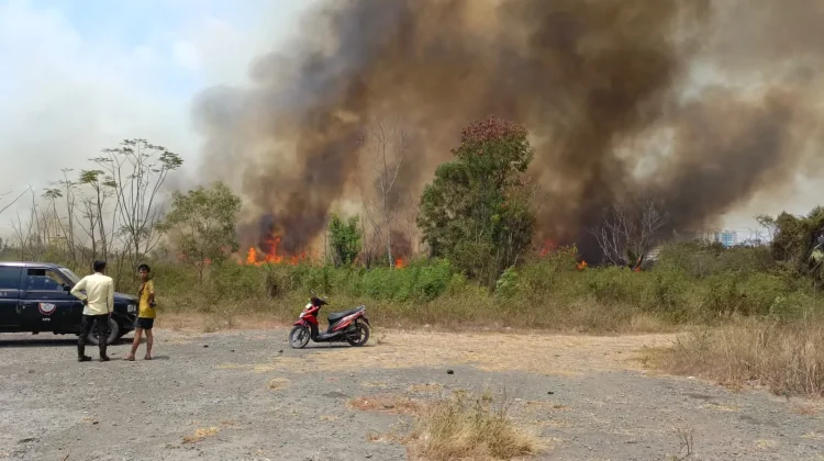 Api Lahap Semak Kering, Kepulan Asap Bikin Warga Nusa Kirana Waspada