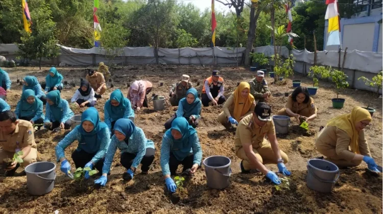 Kepulauan Seribu Canangkan Gerakan Tanam Serentak Tanaman Pangan