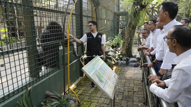 Harga Tiket Masuk Ragunan Diusulkan Naik, Dewan Minta Layanan Ikut Meningkat