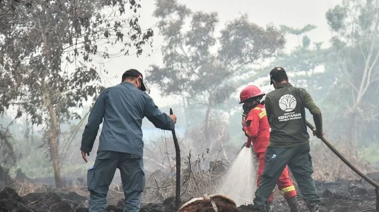 Kemenhut Perketat Pengendalian Karhutla di Enam Provinsi