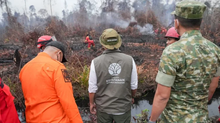 Menhut Turun ke Lokasi Karhutla Ketapang, Ingatkan Jangan Lengah