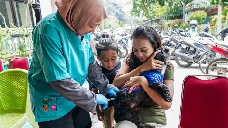 Kelurahan Rawasari Gelar Vaksinasi Rabies Gratis bagi Hewan