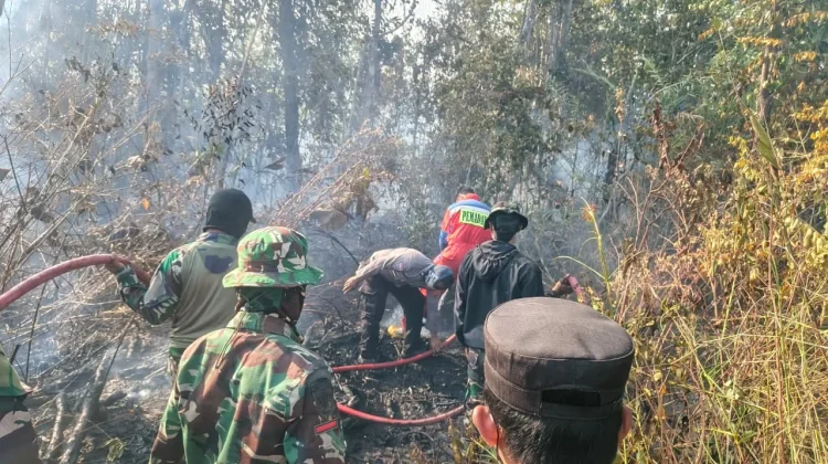 Kontribusi TNI dalam Penanganan Karhutla dan Bencana Dapat Apresiasi di Medsos