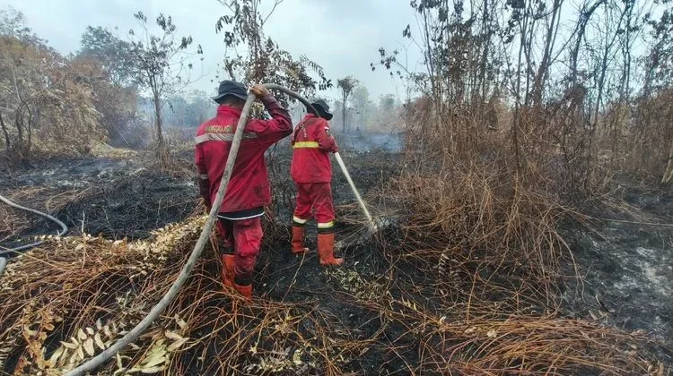 Hotspot Nasional Turun 121 Titik