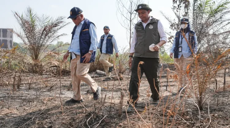 Menhut Kembali Bekukan Tiga Perusahaan di Kaltim Terkait Karhutla