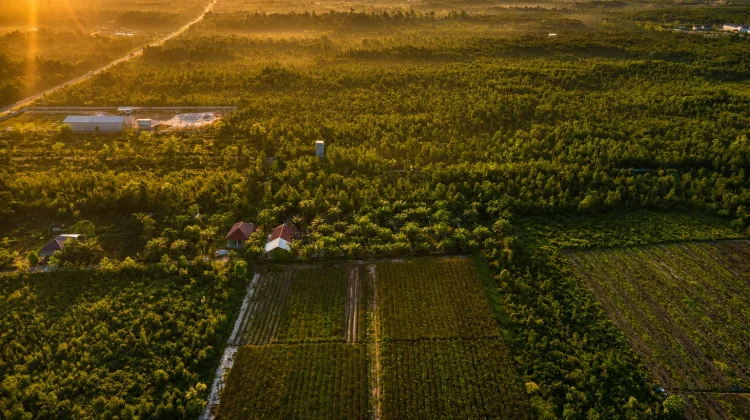 Lahan Kritis Jadi Produktif, Tangkiling Hasilkan Ratusan Ton Komoditas Pertanian