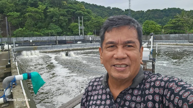 Pemerintah Diharapkan Ambil Peran untuk Optimalisasi Udang Lokal