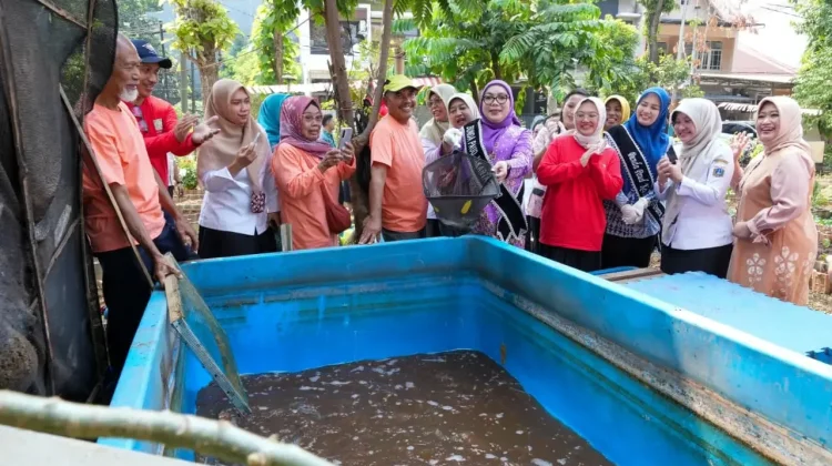 Poktan Pondok Kelapa Panen 20 Kilogram Lele, Urban Farming untuk Ketahanan Pangan