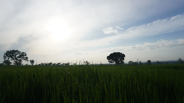 Manfaatkan Hari Minggu untuk Menata Aktivitas Pekan Depan
