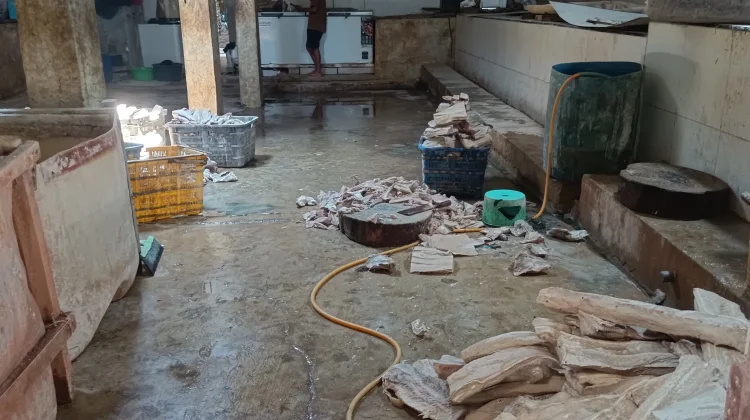 Jejak Panjang Pengolah Ikan Cucut Kalibaru: Berhasil Menembus Pasar Luar Negeri