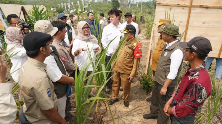 Perkuat Koridor Gajah Sumatera, Menhut Raja Antoni Libatkan Masyarakat