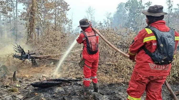 Kemenhut Perkuat Pengendalian Kebakaran Hutan dan Lahan