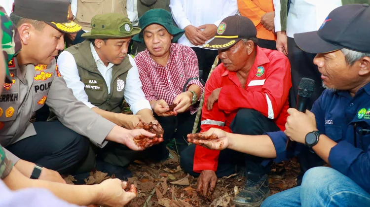Menhut Siap Bentuk Badan Pengelola Gambut dan Mangrove Nasional
