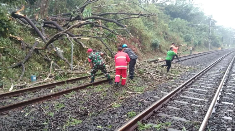 Pohon Tumbang Ganggu Perjalanan KA, Penanganan selesai 15.50 WIB