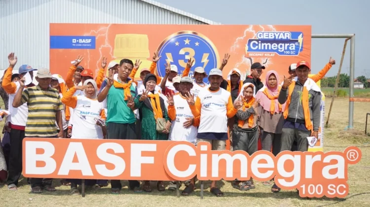 BASF Dampingi Petani Bawang Merah Hadapi Serangan Hama