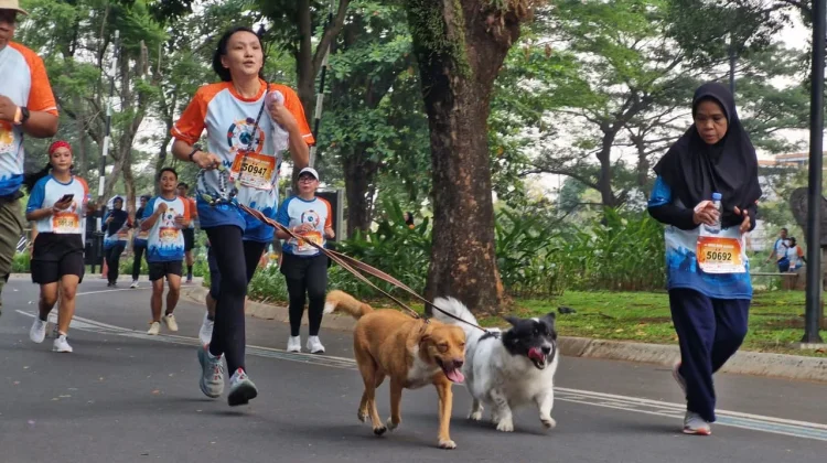 Ribuan Peserta Ikuti World Rabies Day Run 2026