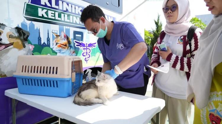 Ini Jadwal Lengkap Mobil Klinik Hewan Keliling di Jakarta Timur, selama Oktober