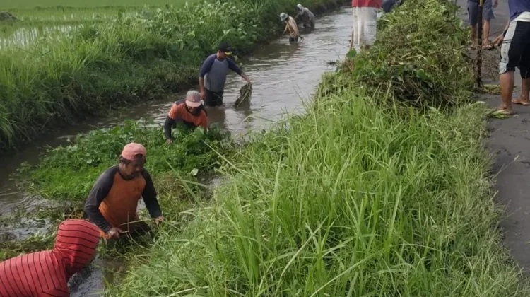 Pemkab Bekasi dan Jababeka Bersihkan Saluran Irigasi Pebayuran