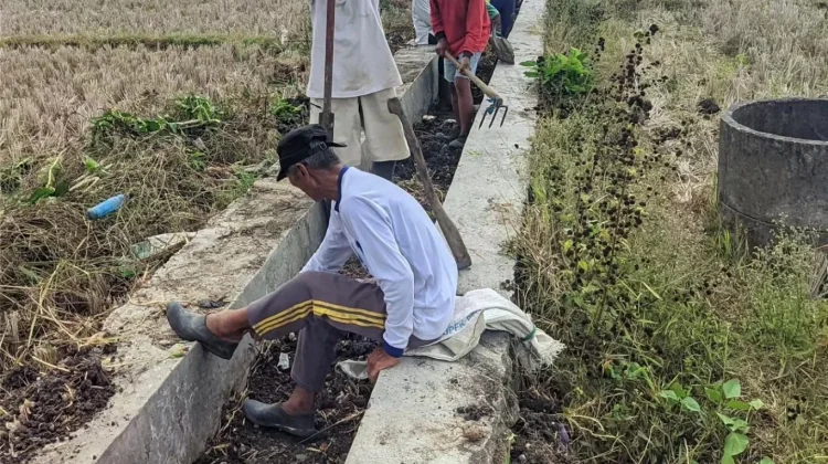 Pemkab Bekasi dan Jababeka Bersihkan Saluran Irigasi Pebayuran