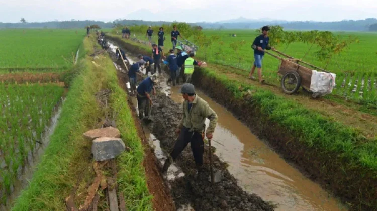 Pemkab Bekasi dan Jababeka Bersihkan Saluran Irigasi Pebayuran