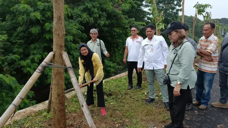 Pemkot Jakbar Tanam Pohon Tabebuya di Semanan Kalideres