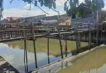 Warga Kampung Bulak Cabe, Swadaya Bangun Jembatan