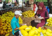 Pedagang Musiman Timun Suri Raup Untung saat Ramadhan