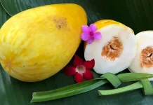 Manfaat Timun Suri untuk Berbuka Puasa