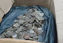 Bea Cukai Tanjung Priok,  Sita Ribuan Kilogram Sisik Trenggiling