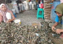 Rokiah, Hidup Tenang di Rumah Panggung Muara Angke