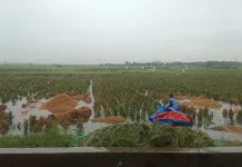 Petani Rorotan Keluhkan Dampak Operasional RDF