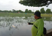 Bertani di Lahan Jakpro Rorotan