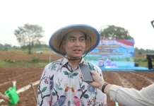 Dukung Ketahanan Pangan, Wibi Andrino Hadiri Tanam Jagung Serentak