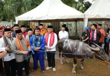 Gubernur Pramono Hadiri Acara Andilan Kebo di Cipayung