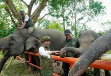 Daftar Taman Nasional dan Taman Wisata Alam yang Tutup di Libur Lebaran