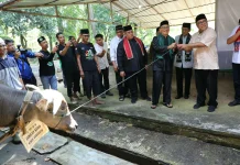 Tradisi Andilan Kebo Hidupkan Kembali Semangat Gotong Royong di Jakarta