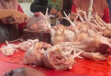 Dharma Jaya–Bapanas Kolaborasi Turunkan Harga Ayam jelang Lebaran