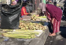 Menjelang Idulfitri, Masyarakat Berburu Kulit Ketupat