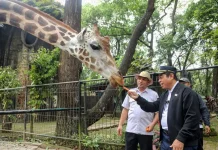 Ketua DPRD DKI Apresiasi Tiket Ragunan masih Terjangkau
