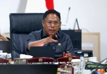 Legislator DKI Dorong Perbaikan Tata Kelola Setu Babakan