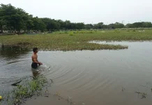 Fenomena Unik: TPU Terendam, Warga Asyik Menjaring Ikan