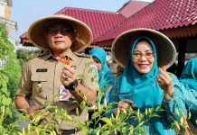 Jakpus Panen 1,1 Ton Sayur dan Ikan dari 58 Titik Urban Farming