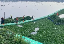 Tim UPS Badan Air Bersihkan Eceng Gondok di Waduk Pluit