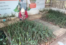 UKM Warga Rusunawa Marunda Dongkrak Ekonomi Keluarga