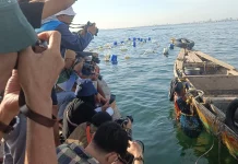 Juru Kamera Jalanan: Mengeksplorasi Keindahan dan Realita Pesisir Jakarta