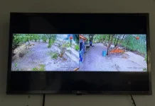 Teknologi PHE OSES dan BKSDA Jakarta Pasang CCTV Pantau Penyu Sisik